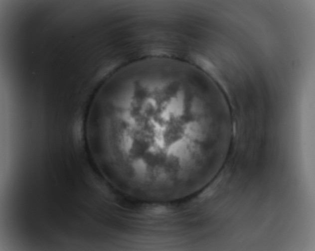 X0000093150249200710031433