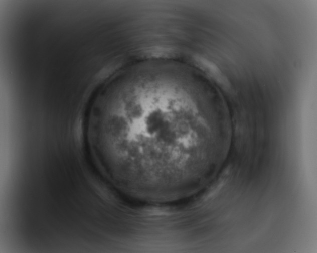 X0000093150250200710031433