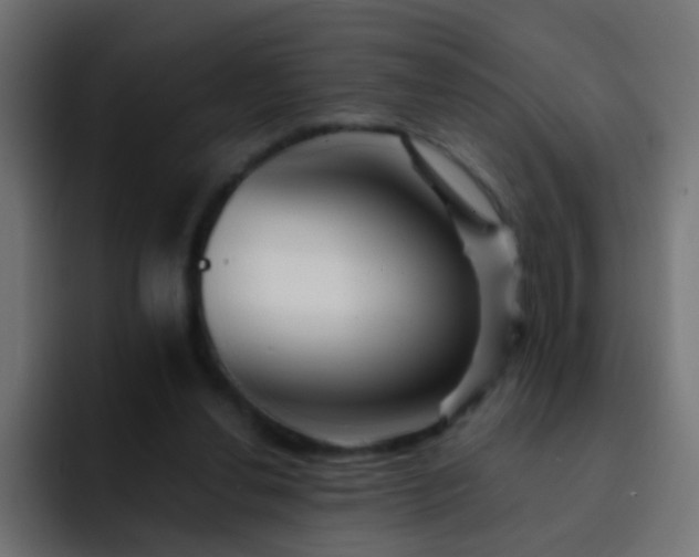 X0000093150252200710031433