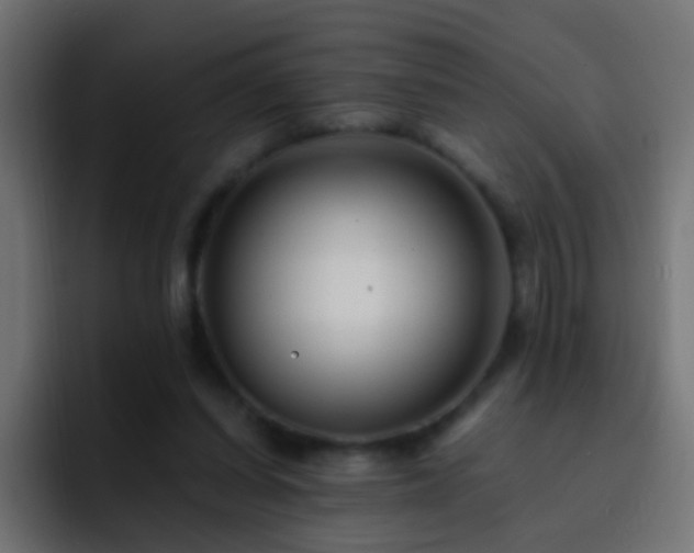 X0000093150254200710031433