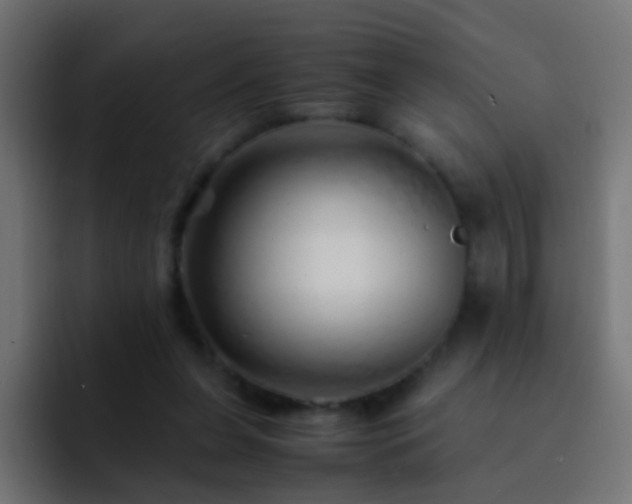 X0000093150255200710031433