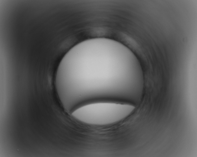 X0000093150258200710031433