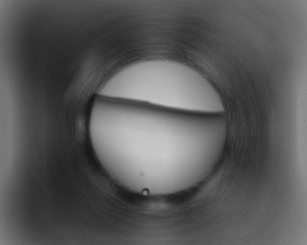 X0000093150262200710031433