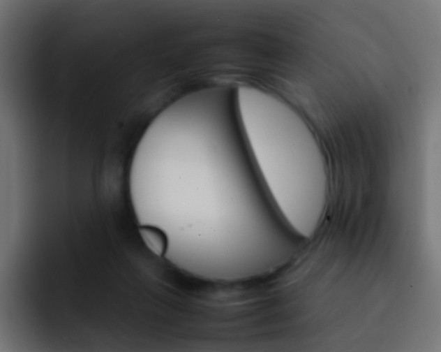 X0000093150263200710031433