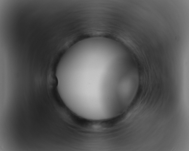 X0000093150264200710031433