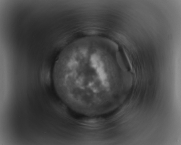 X0000093150267200710031433