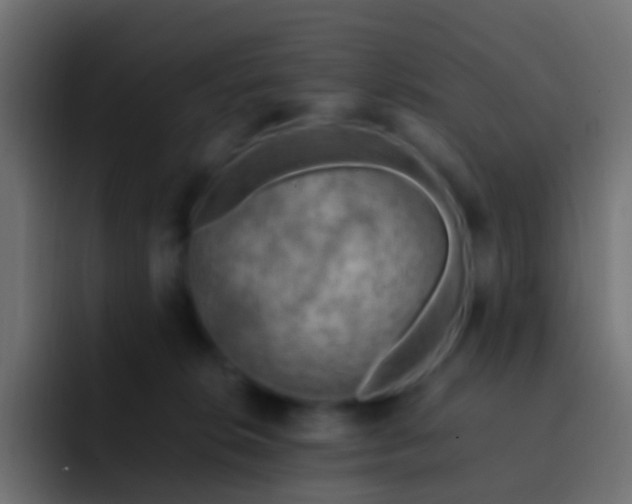 X0000093150276200710031433