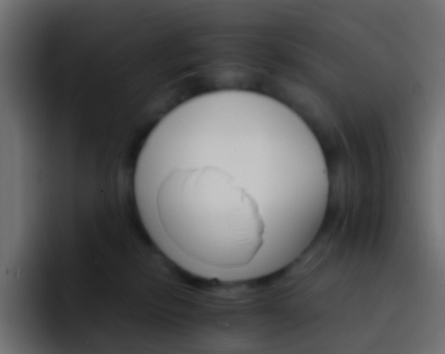 X0000093150278200710031433