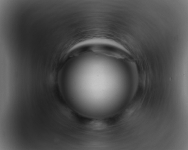 X0000093150280200710031433