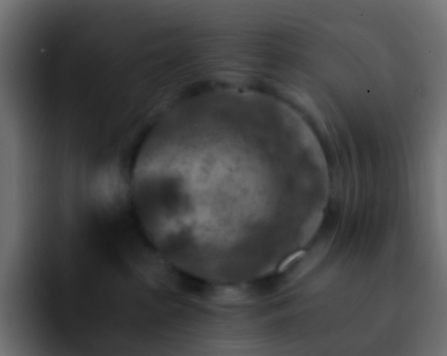 X0000093150285200710031433