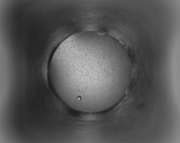 X0000093150293200710031433