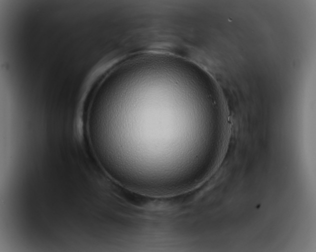 X0000093150294200710031433