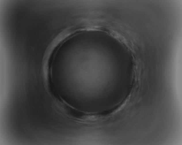 X0000093150295200710031433