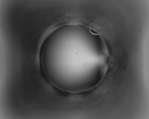 X0000093150296200710031433