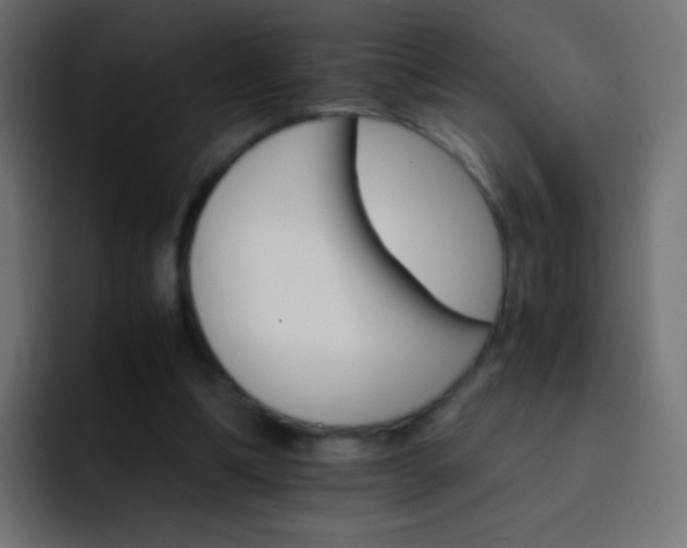 X0000093150298200710031433