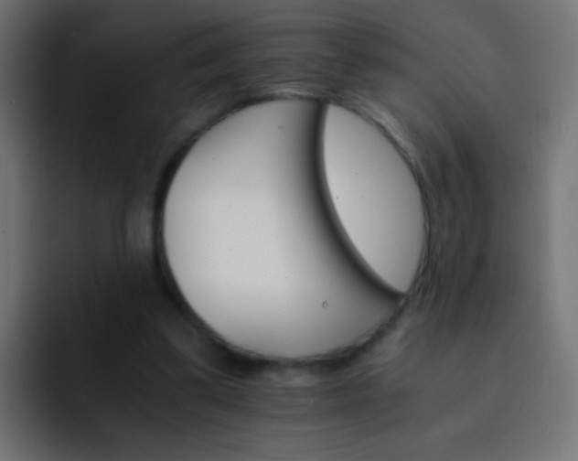 X0000093150299200710031433