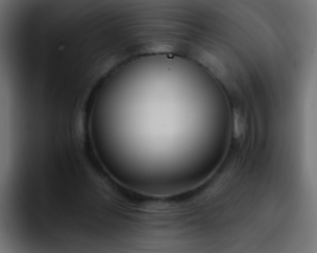X0000093150300200710031433