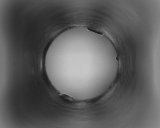 X0000093150301200710031432