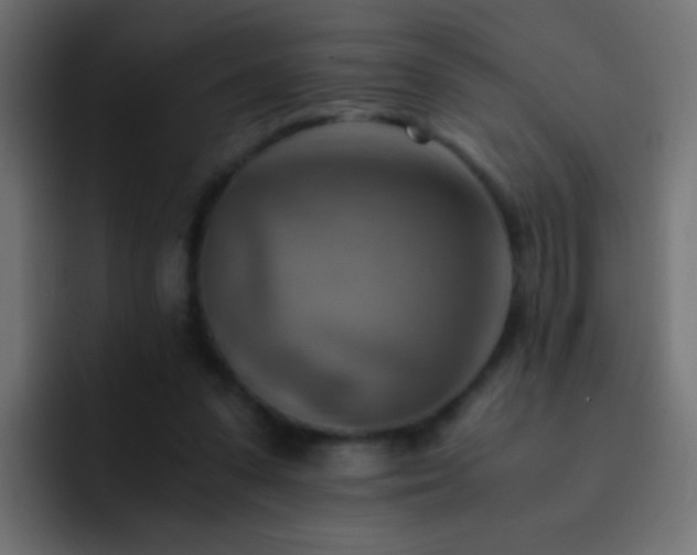 X0000093150303200710031432