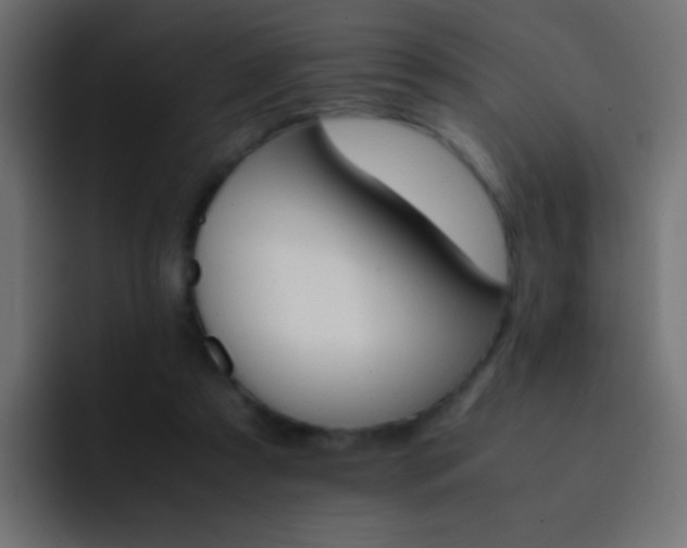X0000093150305200710031432