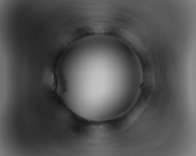 X0000093150307200710031432