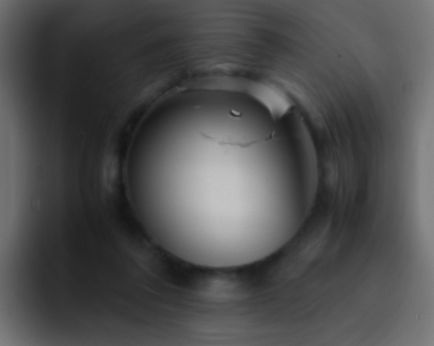 X0000093150308200710031432