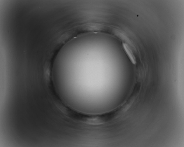X0000093150309200710031432