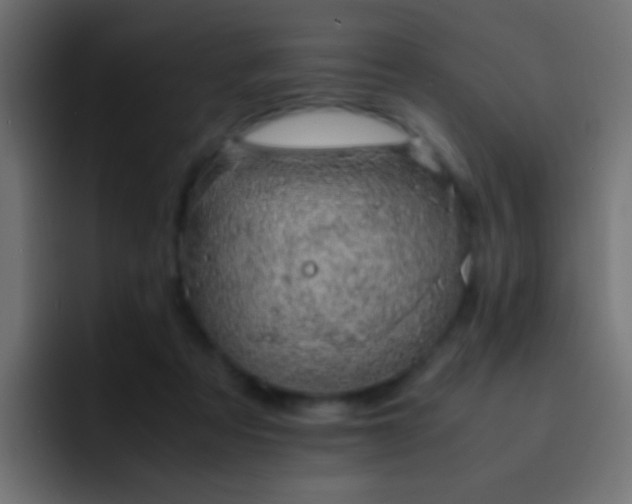 X0000093150313200710031432
