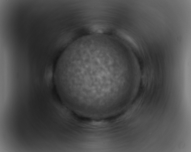 X0000093150314200710031432
