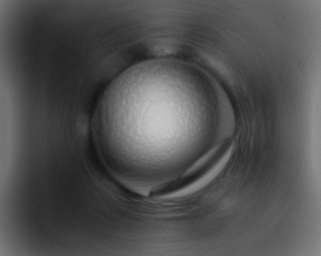 X0000093150315200710031432
