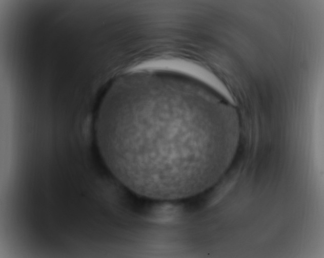 X0000093150319200710031432