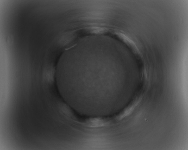X0000093150325200710031432