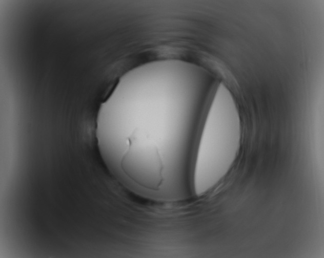 X0000093150329200710031432
