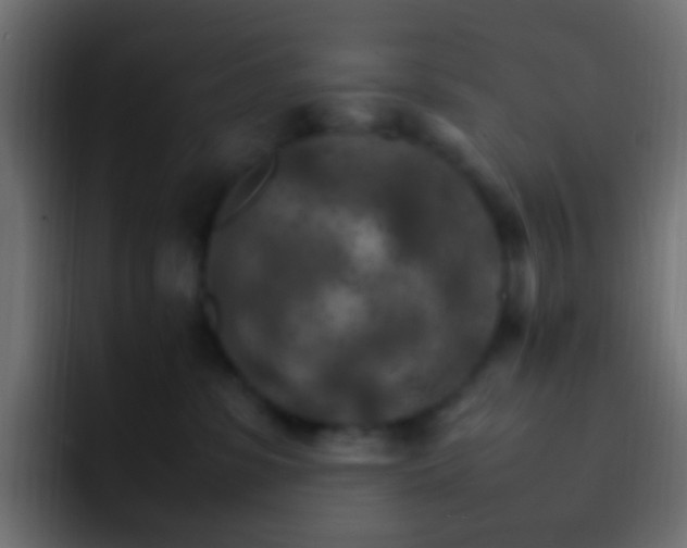 X0000093150331200710031432