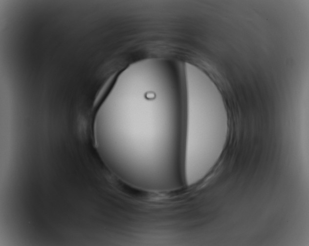 X0000093150333200710031432