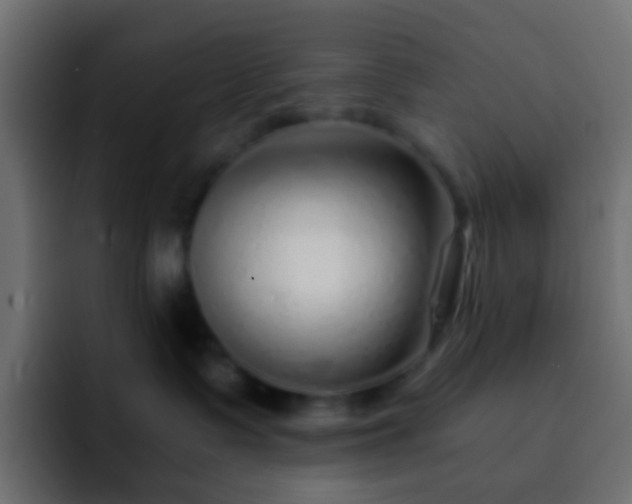 X0000093150335200710031432