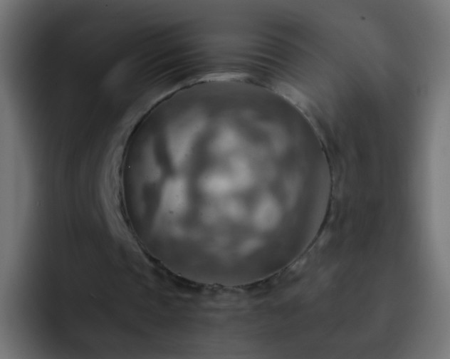 X0000093150337200710031432