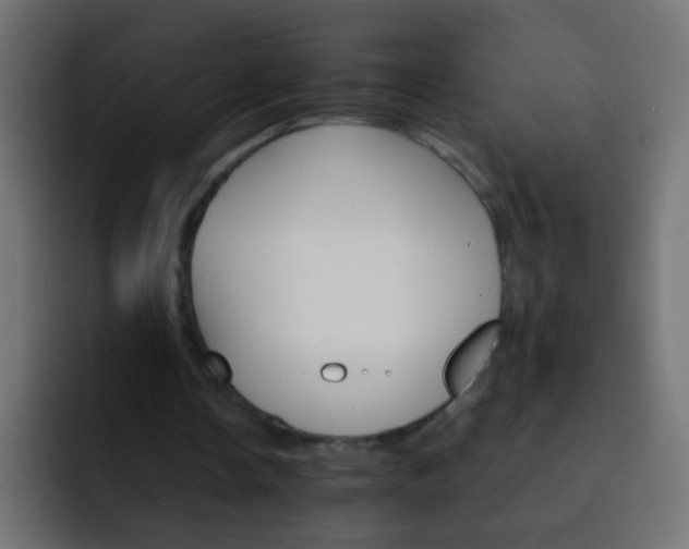 X0000093150338200710031432