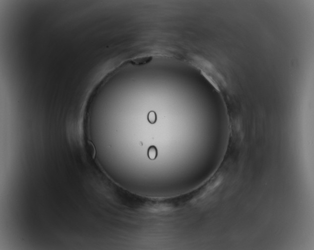 X0000093150340200710031432