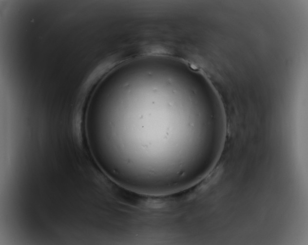 X0000093150341200710031432