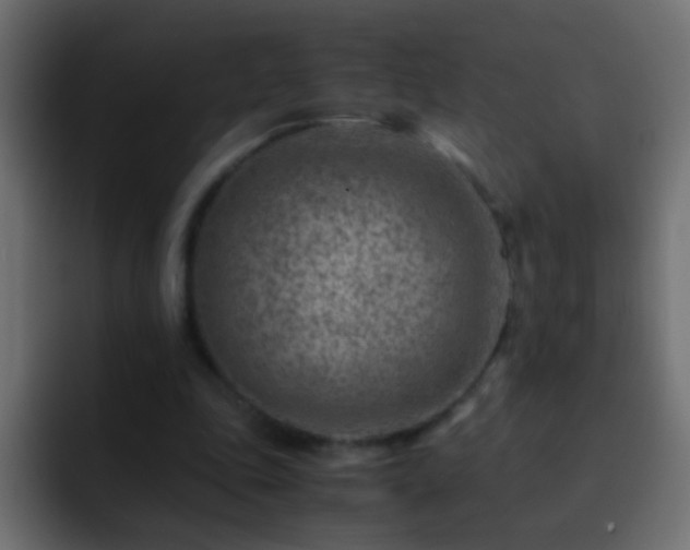 X0000093150343200710031432