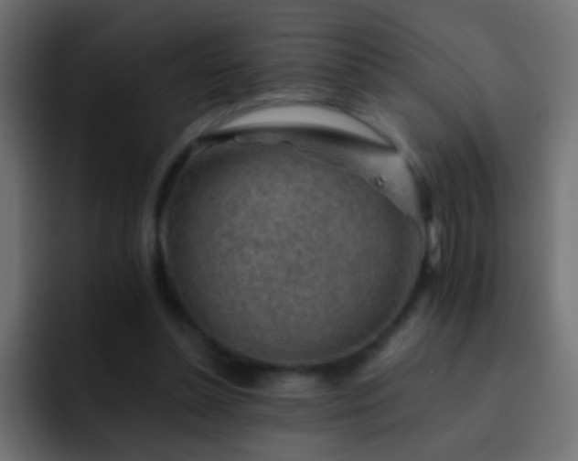 X0000093150348200710031432