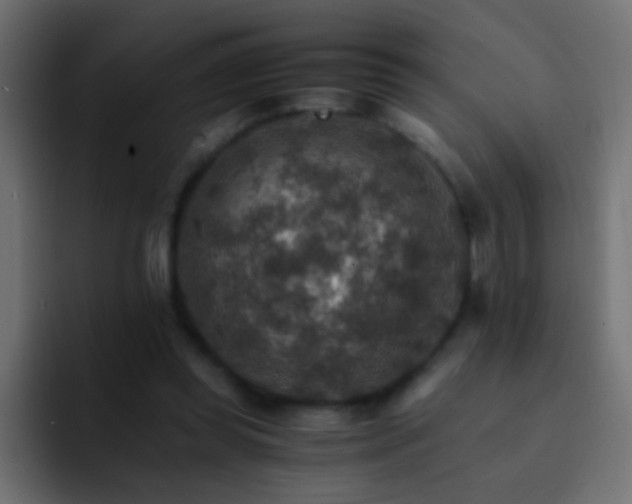 X0000093150349200710031432