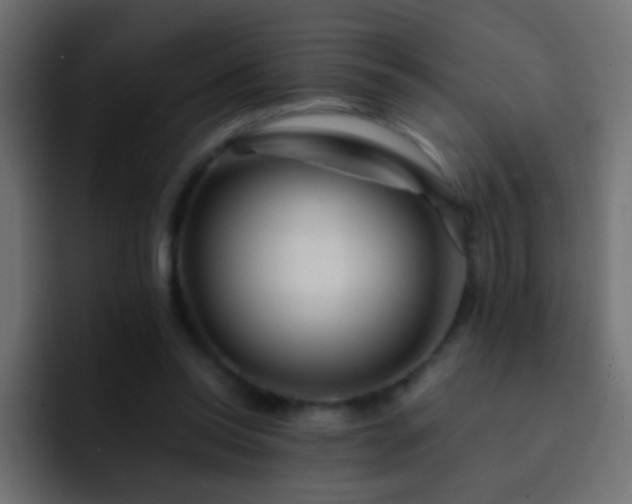 X0000093150350200710031432