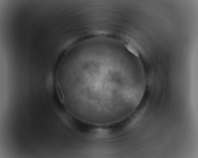 X0000093150352200710031432