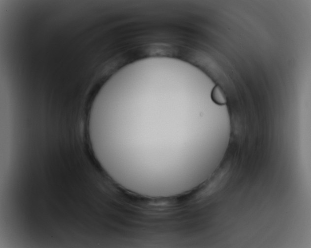 X0000093150357200710031432