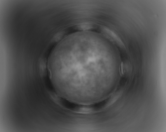 X0000093150360200710031432