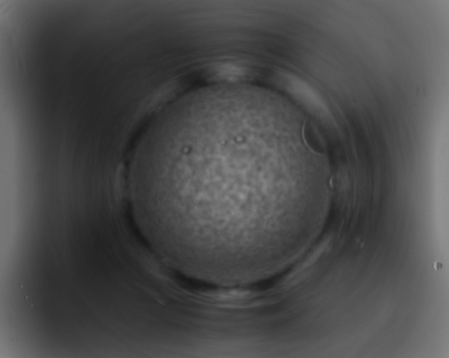 X0000093150361200710031432