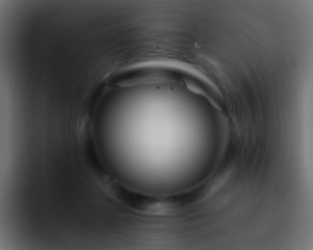 X0000093150364200710031432