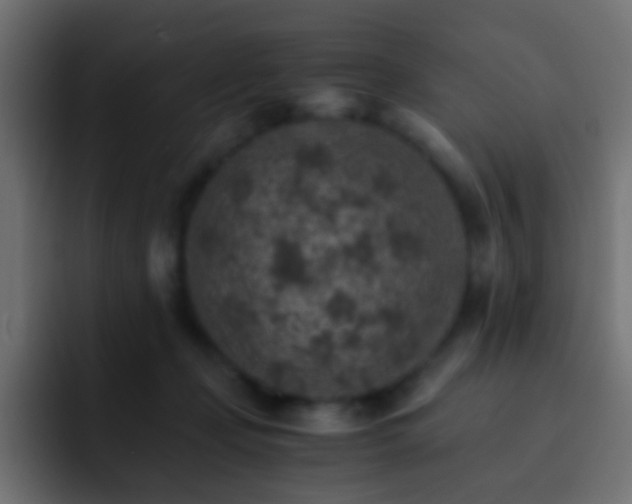 X0000093150365200710031432